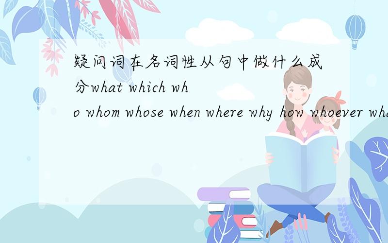 疑问词在名词性从句中做什么成分what which who whom whose when where why how whoever whatever whichever在宾语从句 主语从句 表语从句 同位语从句中分别做什么句子成分?