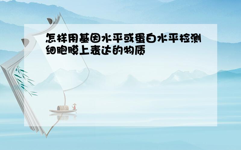 怎样用基因水平或蛋白水平检测细胞膜上表达的物质