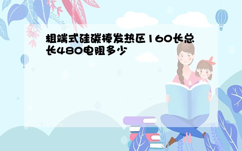 粗端式硅碳棒发热区160长总长480电阻多少