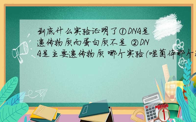 到底什么实验证明了①DNA是遗传物质而蛋白质不是 ②DNA是主要遗传物质 哪个实验（噬菌体那个还是肺炎双球菌那个,还是别的）得出了某个确切的结论?好混乱,麻烦大家帮我理理思路.