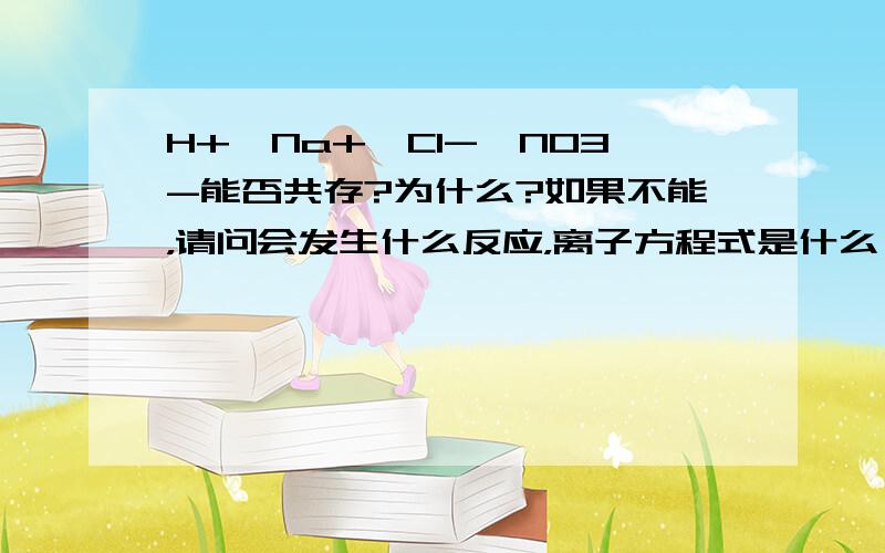 H+、Na+、Cl-、NO3-能否共存?为什么?如果不能，请问会发生什么反应，离子方程式是什么？