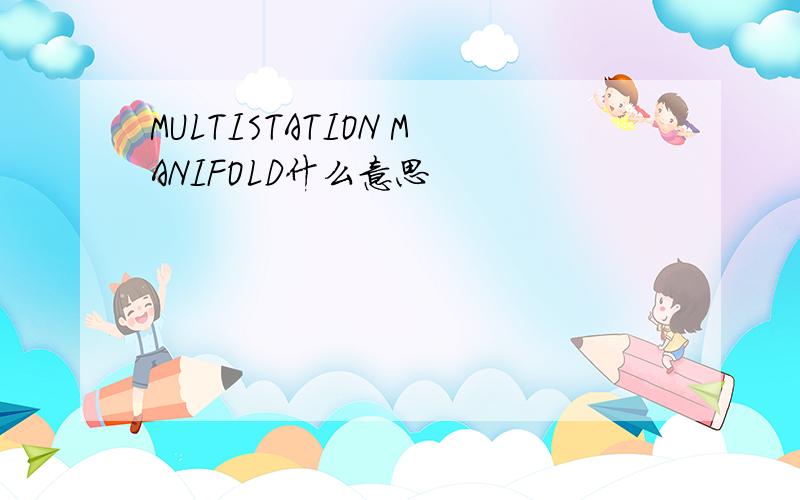 MULTISTATION MANIFOLD什么意思