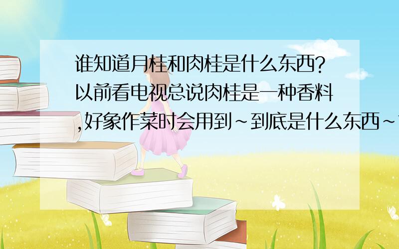 谁知道月桂和肉桂是什么东西?以前看电视总说肉桂是一种香料,好象作菜时会用到~到底是什么东西~前几天又听歌里面有月桂树~谁知道是什么呀?听雪楚恒所描述的肉桂好象就是平常炖东西用