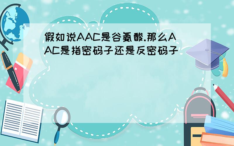 假如说AAC是谷氨酸.那么AAC是指密码子还是反密码子