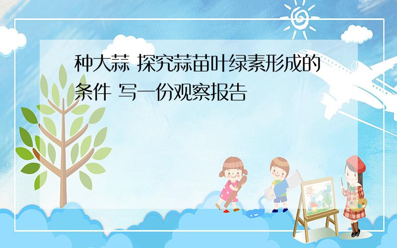 种大蒜 探究蒜苗叶绿素形成的条件 写一份观察报告