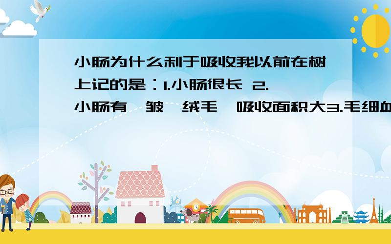 小肠为什么利于吸收我以前在树上记的是：1.小肠很长 2.小肠有褶皱,绒毛,吸收面积大3.毛细血管壁薄,一层上皮细胞,便于运输营养物质.我现在觉得我记的第三条有问题,我觉得是便于运输那有