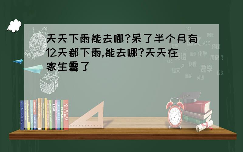 天天下雨能去哪?呆了半个月有12天都下雨,能去哪?天天在家生霉了