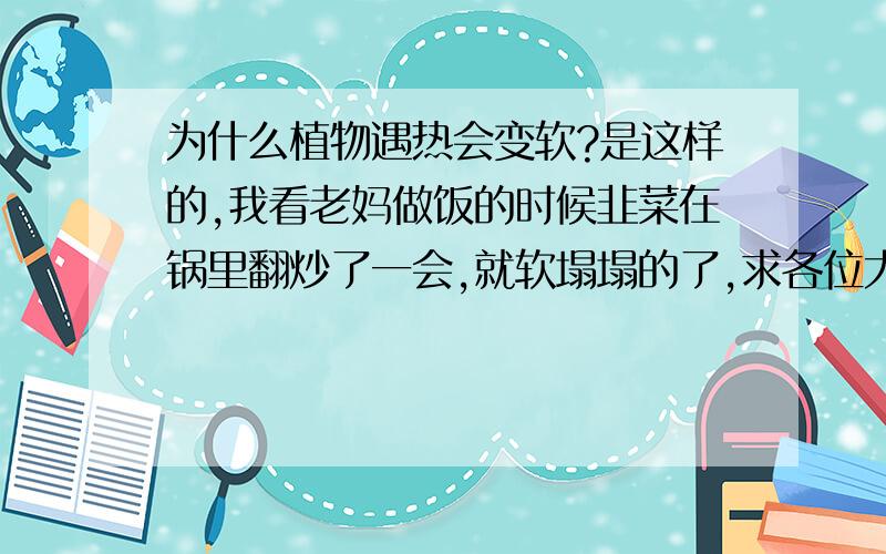 为什么植物遇热会变软?是这样的,我看老妈做饭的时候韭菜在锅里翻炒了一会,就软塌塌的了,求各位大神告知小妹这到底是怎么一回事?