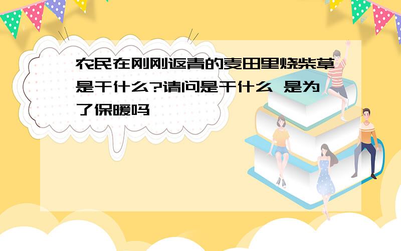 农民在刚刚返青的麦田里烧柴草是干什么?请问是干什么 是为了保暖吗