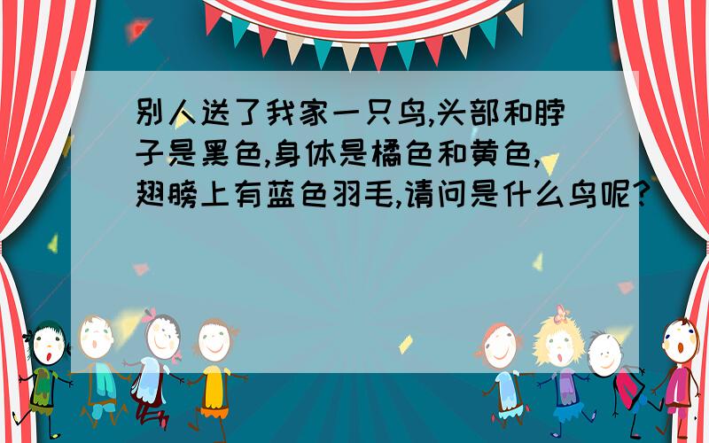 别人送了我家一只鸟,头部和脖子是黑色,身体是橘色和黄色,翅膀上有蓝色羽毛,请问是什么鸟呢?