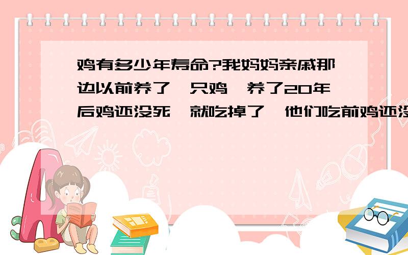 鸡有多少年寿命?我妈妈亲戚那边以前养了一只鸡,养了20年后鸡还没死,就吃掉了,他们吃前鸡还没死,只是老了点,我为此疑惑不解,鸡到底有多少年寿命?