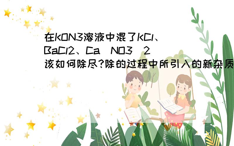 在KON3溶液中混了KCl、BaCl2、Ca（NO3）2该如何除尽?除的过程中所引入的新杂质最后也要除尽（要求写出你要出的杂质所选用的试剂、化学方程式、操作（如：过滤等） ）