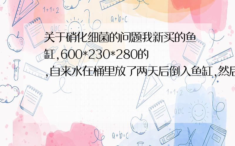 关于硝化细菌的问题我新买的鱼缸,600*230*280的,自来水在桶里放了两天后倒入鱼缸,然后加了大约100ML的硝化细菌（液体的）,从水进缸（不算水在桶里的两天）到现在已经大概四天了,缸里我放