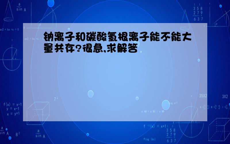 钠离子和碳酸氢根离子能不能大量共存?很急,求解答