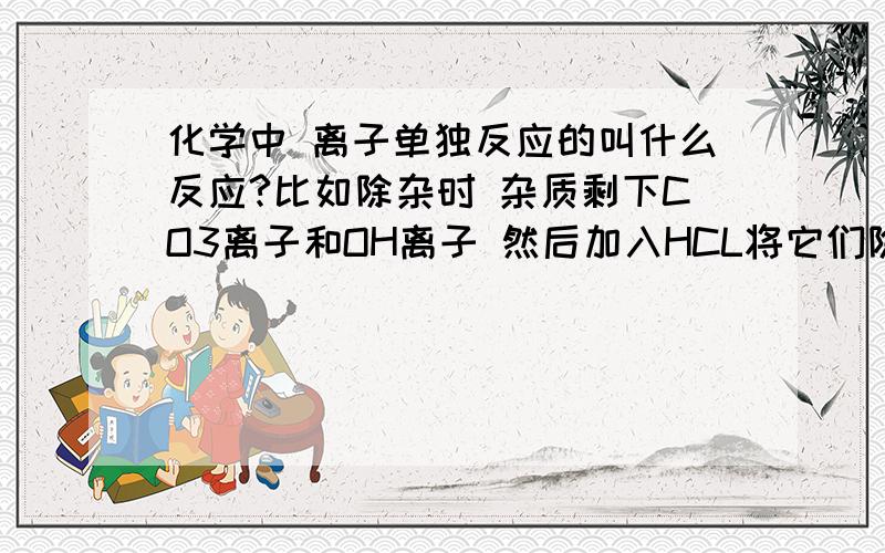 化学中 离子单独反应的叫什么反应?比如除杂时 杂质剩下CO3离子和OH离子 然后加入HCL将它们除去.还有就是除杂时 最后剩下的产物是NA离子和CL离子,如果最后剩下的CL离子比NA离子多,会发生什