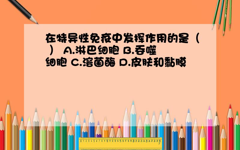 在特异性免疫中发挥作用的是（ ） A.淋巴细胞 B.吞噬细胞 C.溶菌酶 D.皮肤和黏膜