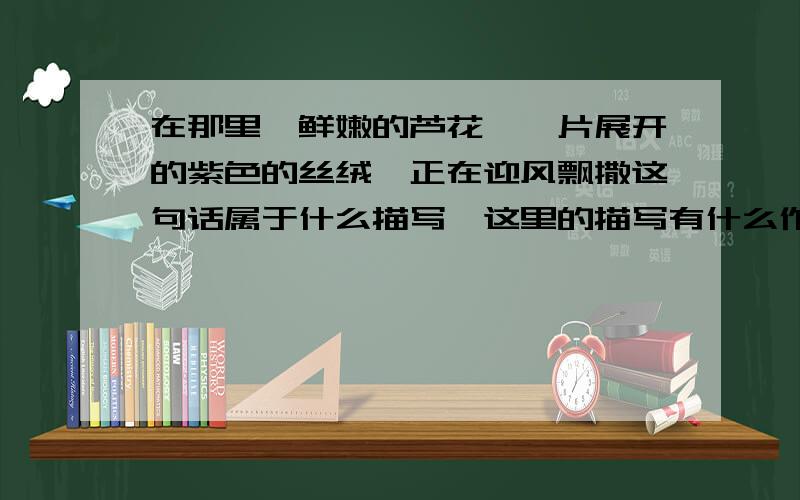 在那里,鲜嫩的芦花,一片展开的紫色的丝绒,正在迎风飘撒这句话属于什么描写,这里的描写有什么作用?