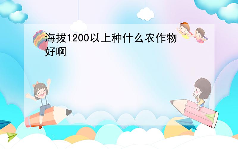 海拔1200以上种什么农作物好啊