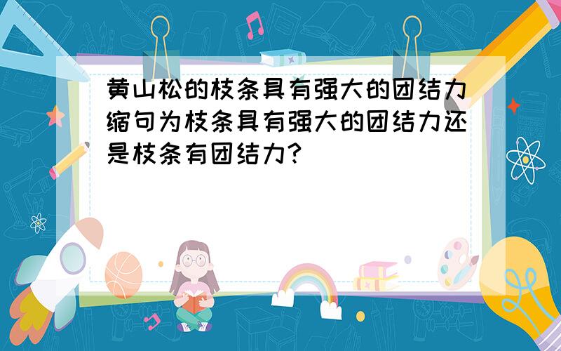 黄山松的枝条具有强大的团结力缩句为枝条具有强大的团结力还是枝条有团结力?