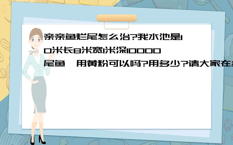 亲亲鱼烂尾怎么治?我水池是10米长8米宽1米深10000尾鱼,用黄粉可以吗?用多少?请大家在给多点意见?