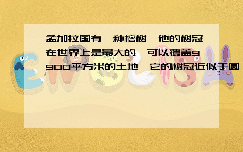 孟加拉国有一种榕树,他的树冠在世界上是最大的,可以覆盖9900平方米的土地,它的树冠近似于圆,请你计算树冠的半径有多少米?（结果精确到0.1米）