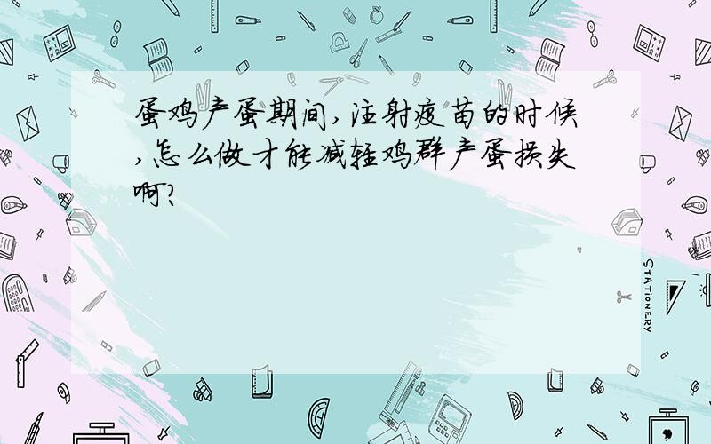 蛋鸡产蛋期间,注射疫苗的时候,怎么做才能减轻鸡群产蛋损失啊?