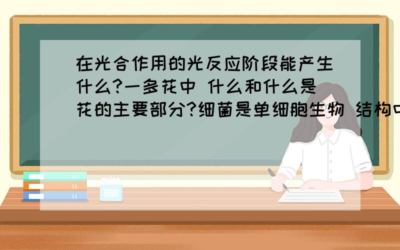 在光合作用的光反应阶段能产生什么?一多花中 什么和什么是花的主要部分?细菌是单细胞生物 结构中没有什么 细菌对自然界起着什么作用?