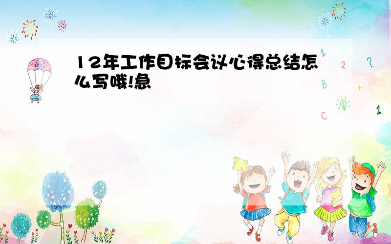 12年工作目标会议心得总结怎么写哦!急