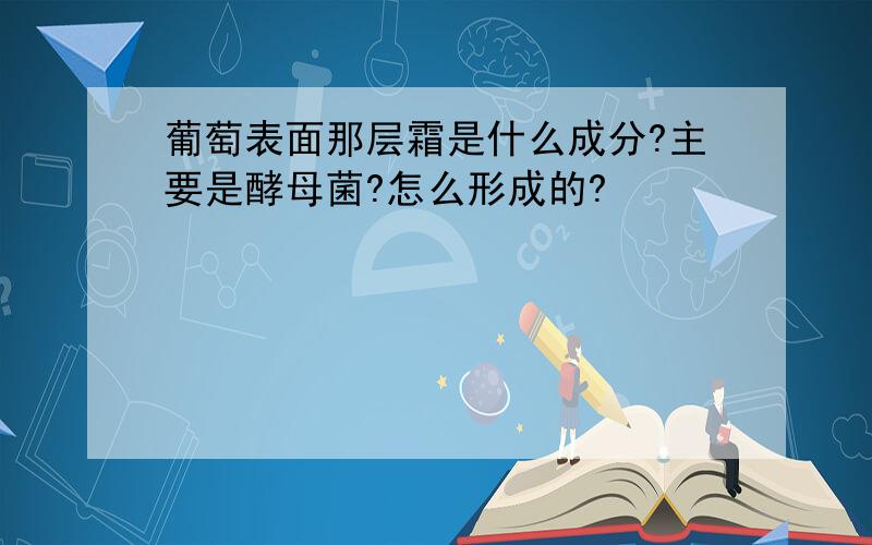 葡萄表面那层霜是什么成分?主要是酵母菌?怎么形成的?