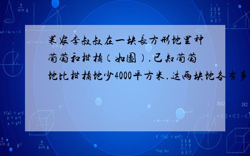 果农李叔叔在一块长方形地里种葡萄和柑橘（如图）.已知葡萄地比柑橘地少4000平方米.这两块地各有多大?