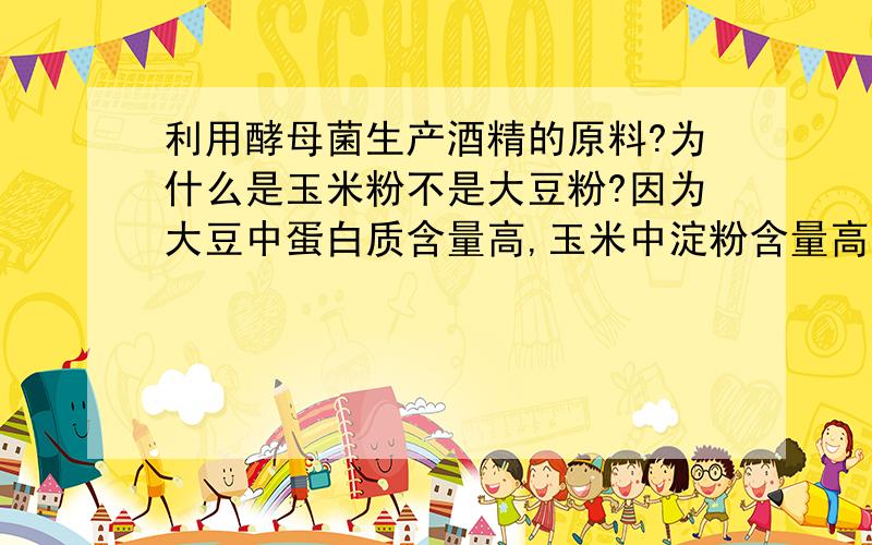 利用酵母菌生产酒精的原料?为什么是玉米粉不是大豆粉?因为大豆中蛋白质含量高,玉米中淀粉含量高吗?