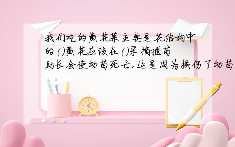 我们吃的黄花菜主要是花结构中的()黄花应该在()采摘揠苗助长会使幼苗死亡,这是因为损伤了幼苗的什么结构所致?