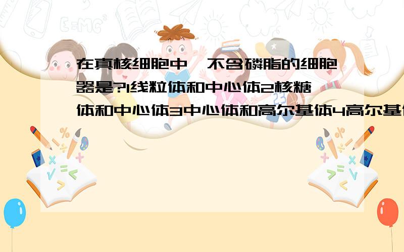 在真核细胞中,不含磷脂的细胞器是?1线粒体和中心体2核糖体和中心体3中心体和高尔基体4高尔基体和核糖体