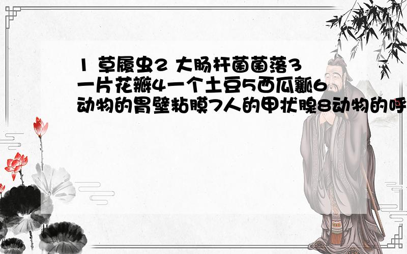 1 草履虫2 大肠杆菌菌落3一片花瓣4一个土豆5西瓜瓤6动物的胃壁粘膜7人的甲状腺8动物的呼吸道和肺共同组成的结构9一片洋葱鳞片叶的表皮10一个池塘里的全部鲫鱼11一片草地中的全部生物12