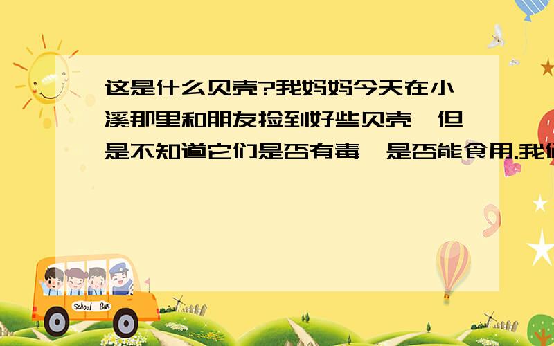 这是什么贝壳?我妈妈今天在小溪那里和朋友捡到好些贝壳,但是不知道它们是否有毒,是否能食用.我们这里是广东.