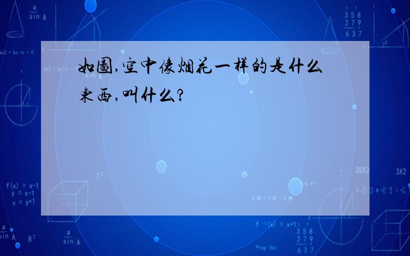 如图,空中像烟花一样的是什么东西,叫什么?