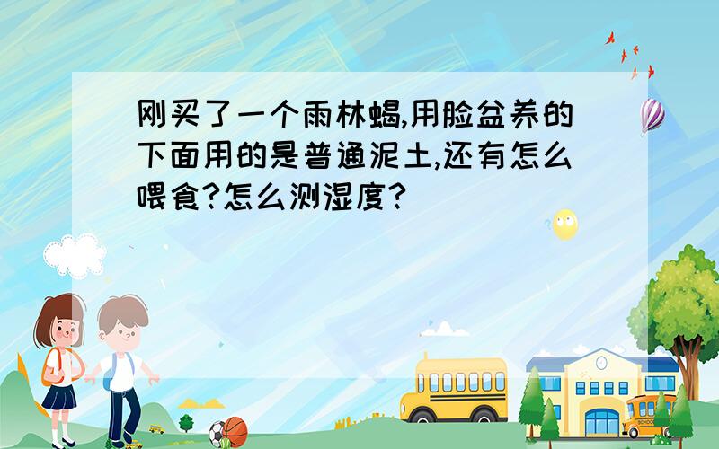 刚买了一个雨林蝎,用脸盆养的下面用的是普通泥土,还有怎么喂食?怎么测湿度?