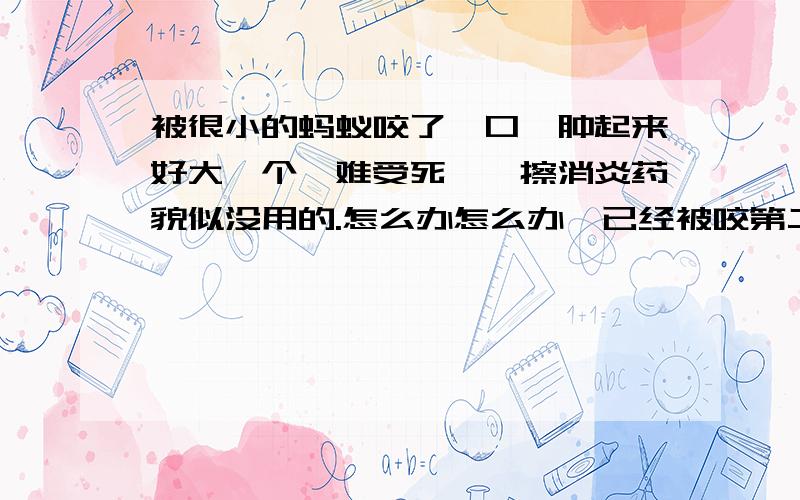 被很小的蚂蚁咬了一口,肿起来好大一个,难受死咯,擦消炎药貌似没用的.怎么办怎么办,已经被咬第二次咯,讨厌北京,这么多蚂蚁.555