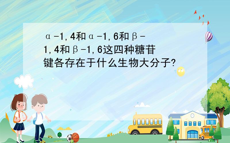 α-1,4和α-1,6和β-1,4和β-1,6这四种糖苷键各存在于什么生物大分子?