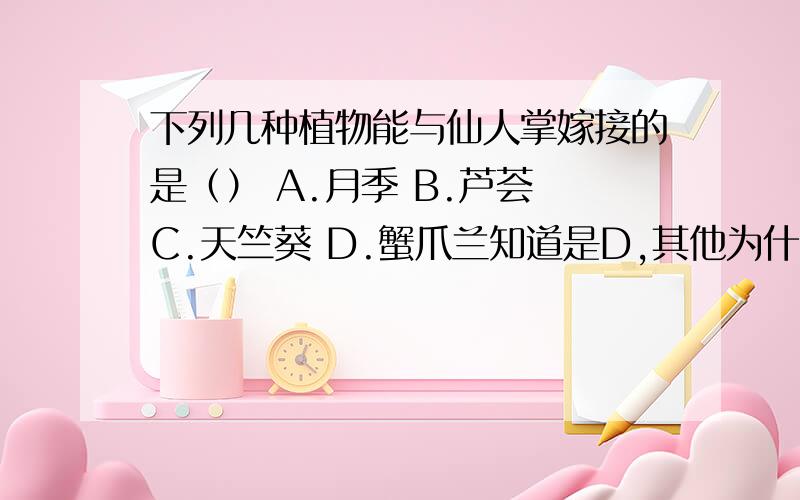 下列几种植物能与仙人掌嫁接的是（） A.月季 B.芦荟 C.天竺葵 D.蟹爪兰知道是D,其他为什么不可以,与仙人掌嫁接有何要求?