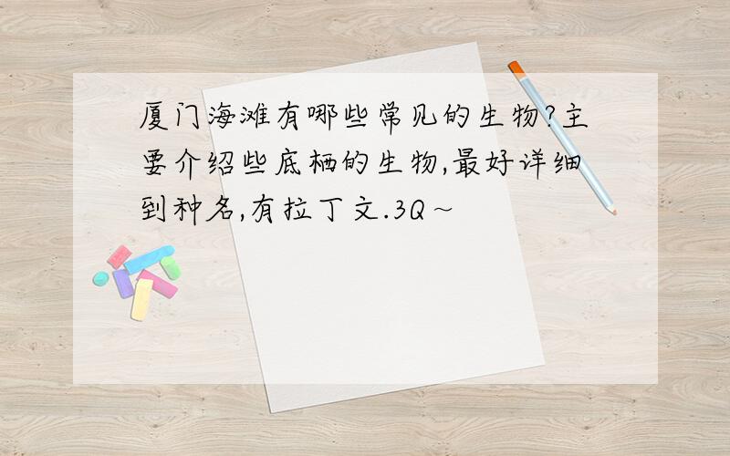 厦门海滩有哪些常见的生物?主要介绍些底栖的生物,最好详细到种名,有拉丁文.3Q～