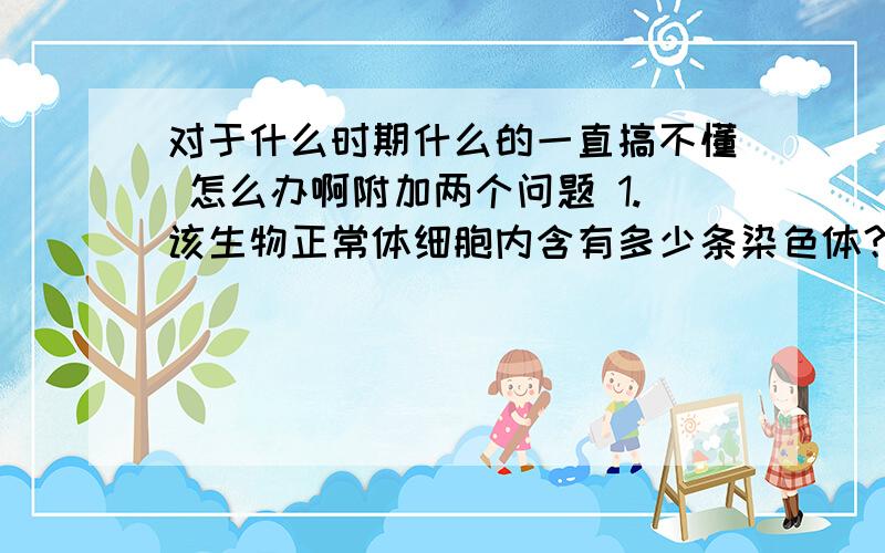 对于什么时期什么的一直搞不懂 怎么办啊附加两个问题 1.该生物正常体细胞内含有多少条染色体？2.若该生物是雌性，则图B、图C代表的细胞名称分别是什么？