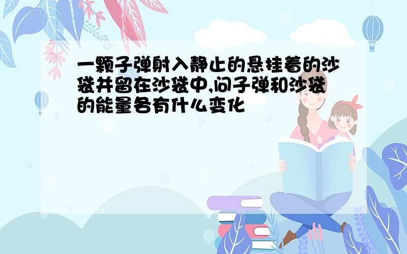 一颗子弹射入静止的悬挂着的沙袋并留在沙袋中,问子弹和沙袋的能量各有什么变化