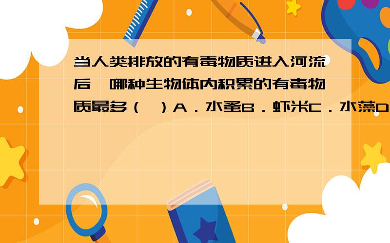 当人类排放的有毒物质进入河流后,哪种生物体内积累的有毒物质最多（ ）A．水蚤B．虾米C．水藻D．鱼类