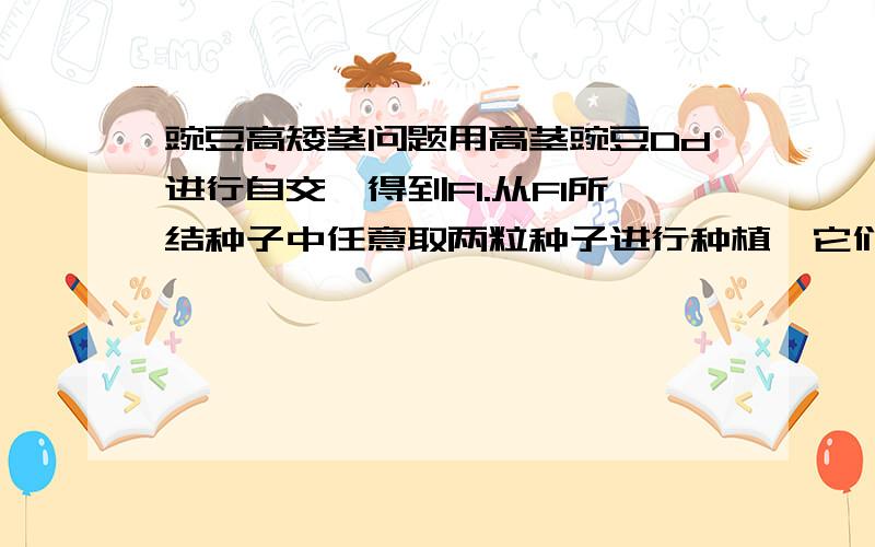 豌豆高矮茎问题用高茎豌豆Dd进行自交,得到F1.从F1所结种子中任意取两粒种子进行种植,它们都发育成高茎豌豆的概率是______.请大家不要乱答!题目中写的是“用高茎豌豆Dd进行自交,得到F1”,