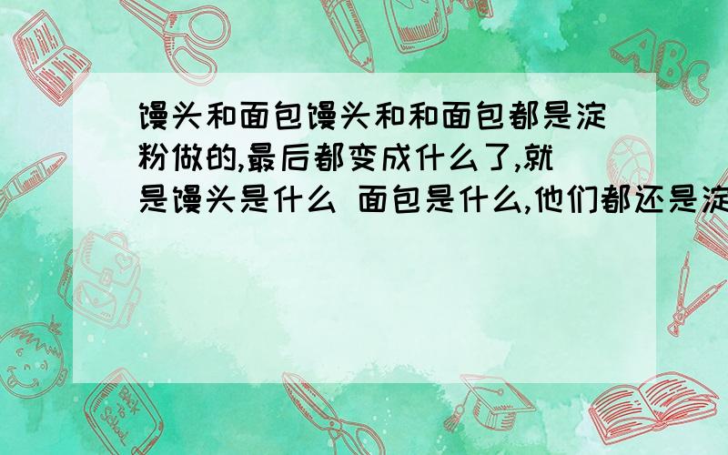 馒头和面包馒头和和面包都是淀粉做的,最后都变成什么了,就是馒头是什么 面包是什么,他们都还是淀粉吗,