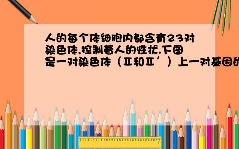 人的每个体细胞内都含有23对染色体,控制着人的性状.下图是一对染色体（Ⅱ和Ⅱ′）上一对基因的遗传图解,图中A为决定卷舌的基因（显性）,a为决定不卷舌的基因（隐性）,请据图分析回答