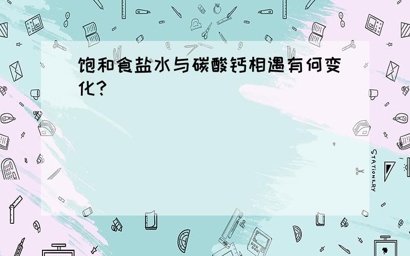 饱和食盐水与碳酸钙相遇有何变化?