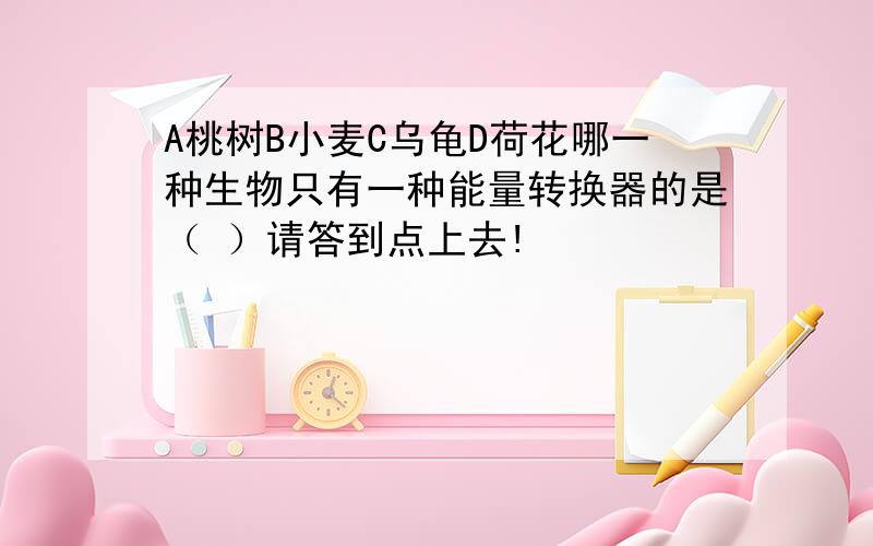 A桃树B小麦C乌龟D荷花哪一种生物只有一种能量转换器的是（ ）请答到点上去!