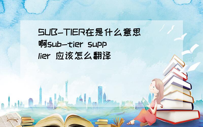 SUB-TIER在是什么意思啊sub-tier supplier 应该怎么翻译